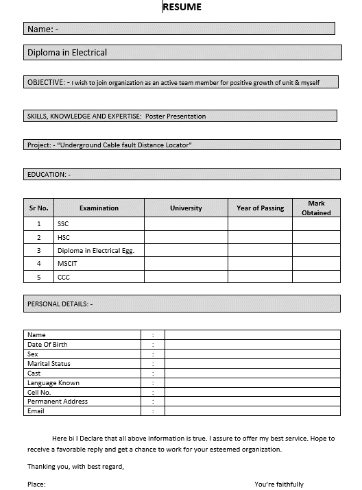 Professional Resume Formats